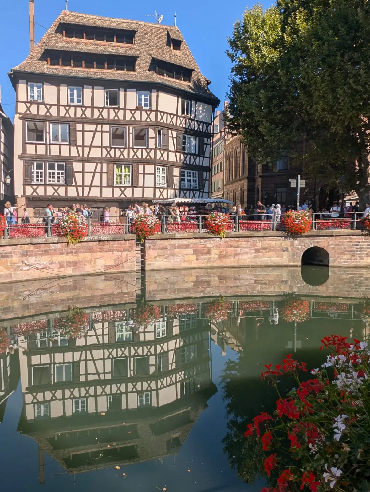 A tall half-timbered house reflected upside down in perfectly still canal water, framed by red geraniums